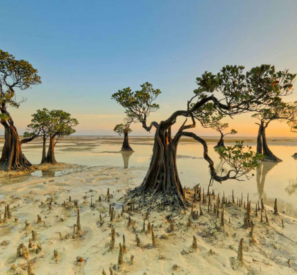 Invest in Sumba's Untouched Paradise - isoola.com